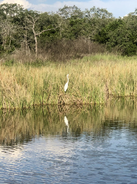 Outcast Landing is great spot for bird watching!