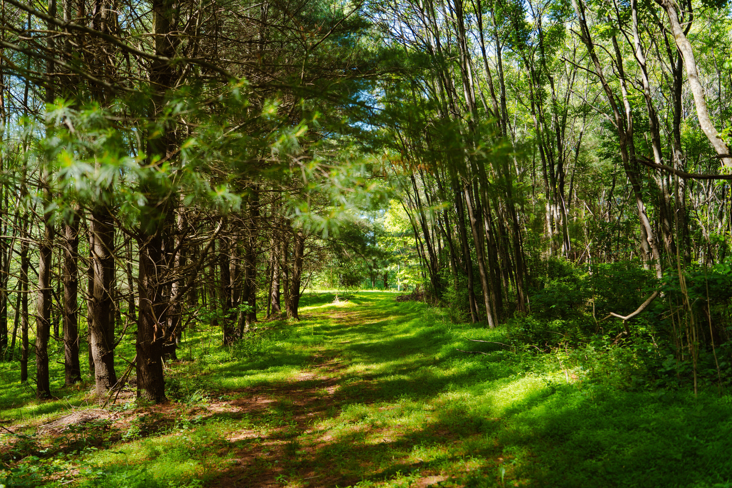 Whispering Acres | Photo 48