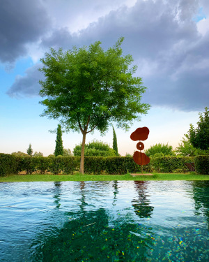 An intimate infinite swimming pool with a collection of trees
