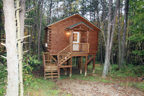 Blue Rose Cabins - Treetops Cabin - 