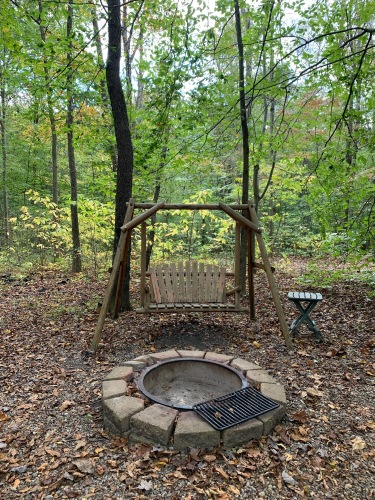 fire pit with wood swing
