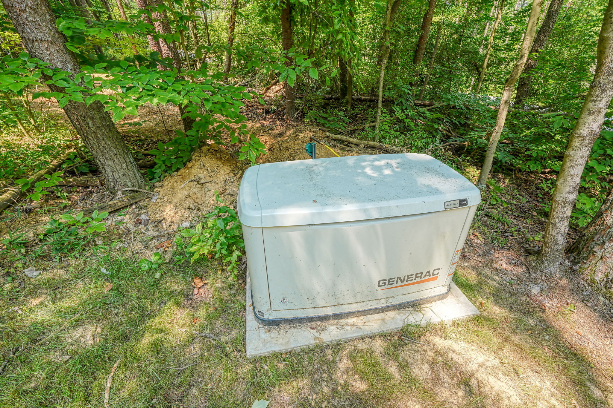 Love Nest | Photo 43