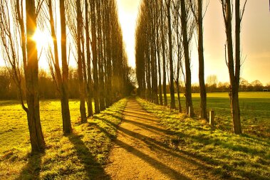 Beautiful walks in Fletcher Moss