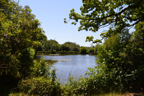 Private Lake within the estate
