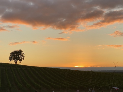 Apéro Sunset au château Poulvère