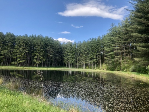 Wayne National Forest's Sand Run Lake located right above the White Tail Cabin. 