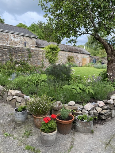 Six on Castle - Enclosed, private back garden for guests