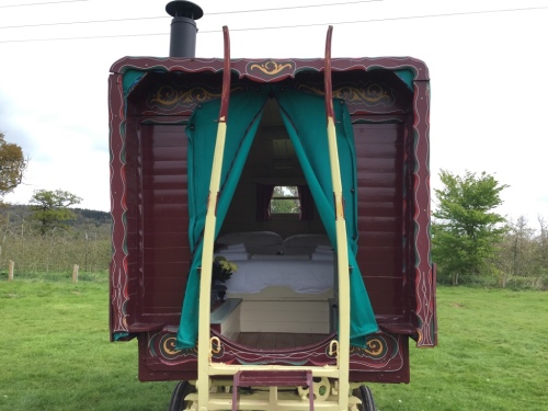 Lodge-Family-Private Bathroom-Countryside view-Gypsy Wagon/Bell Tent - Base Rate