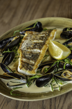 Pan roasted local hake with samphire, mussel sauce & new potatoes