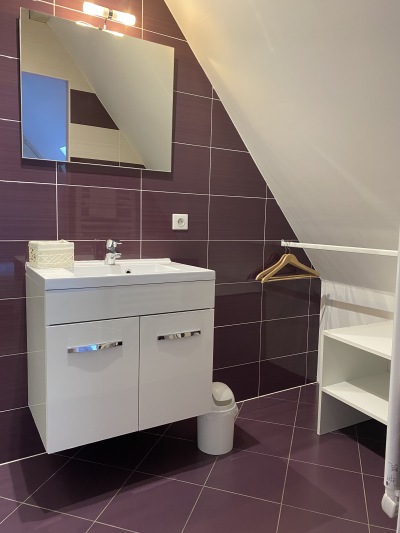 salle de bains prune