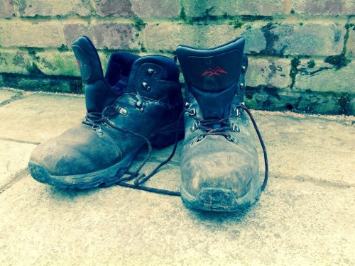 Walkers and muddy boots welcome