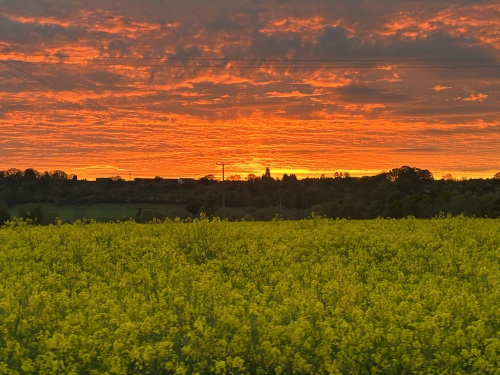 Sunrise across back field
