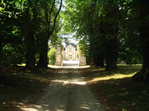 Château de Colliers - The alley of bicentenary lime trees