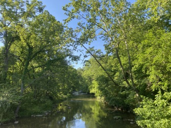Nearby Mill Creek in summer