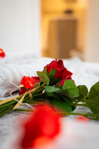 Love Is In The Air ❤️