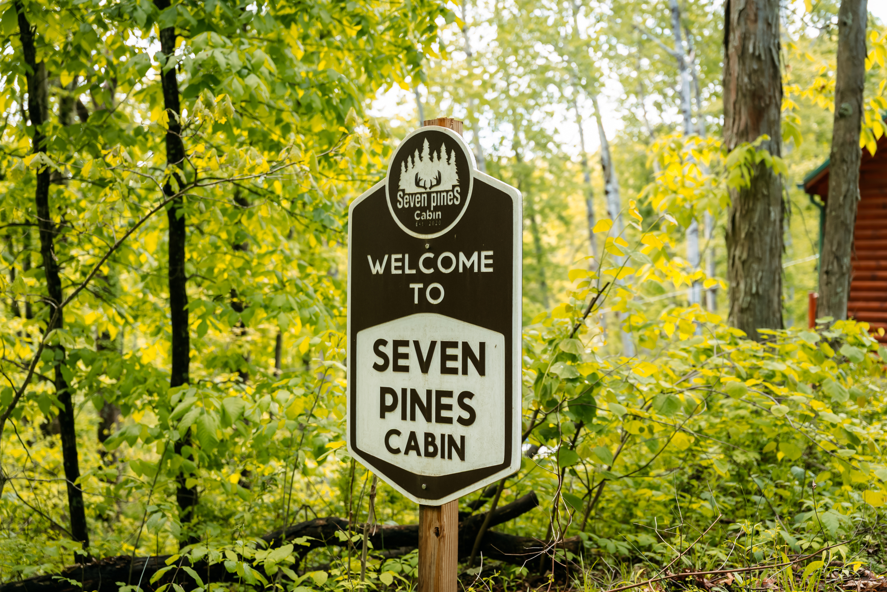 Seven Pines | Photo 39