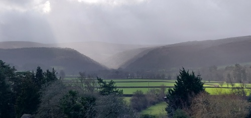 Misty view of Horner Woods