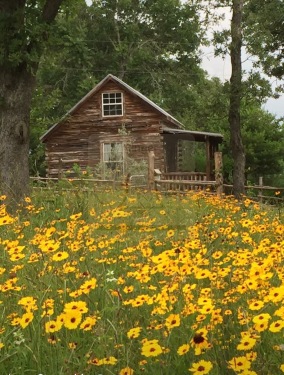 Texas Lone Star Log cabin