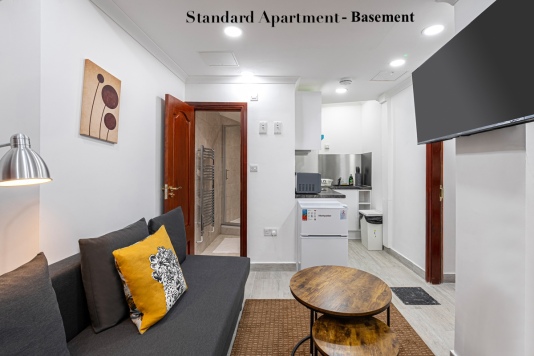 Studio Apartment - Basement