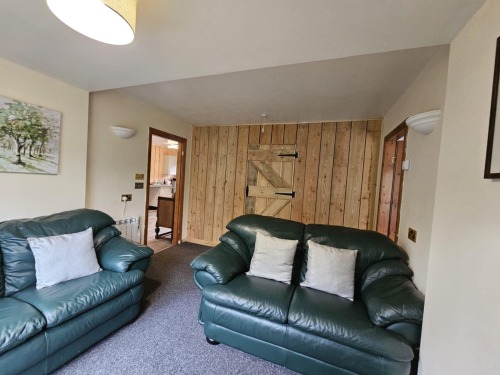 Two green leather sofas