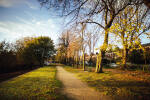 Avenham Park 