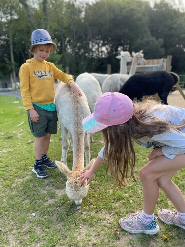 Our animal tours