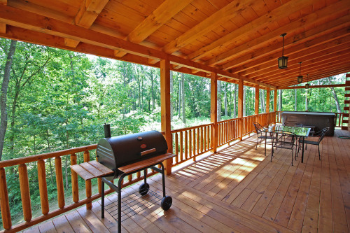 Back Deck, looking toward Forest