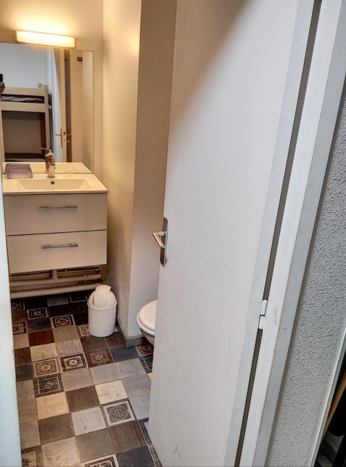 salle de bains avec toilettes