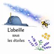L'abeille sous les étoiles