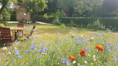 jardin