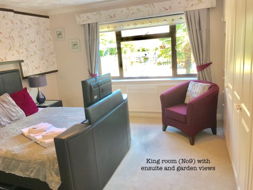 Luxury King with nice size en suite and large TV (room 9)