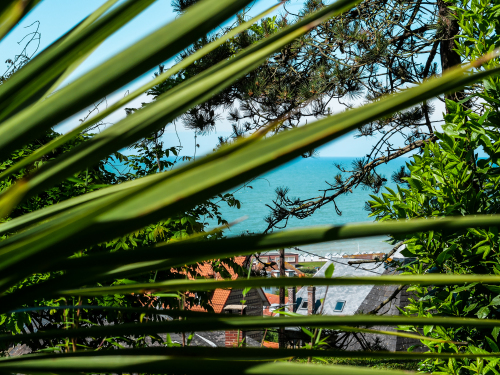 Une vue sur mer
