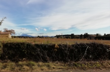 Vue sur le château de Suze la Rousse