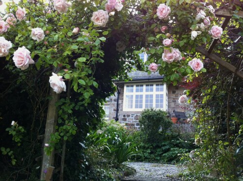 Step through the rose arch
