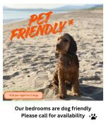 Dog friendly rooms
