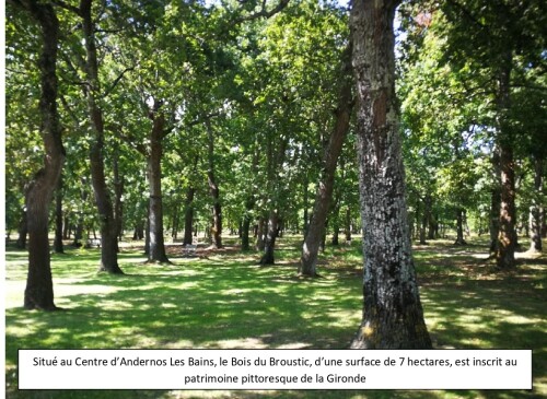 parc boisé face au logement avec parcours santé et jeux enfants