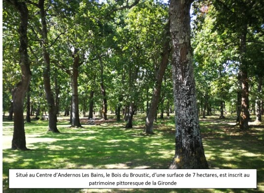 parc boisé face au logement avec parcours santé et jeux enfants