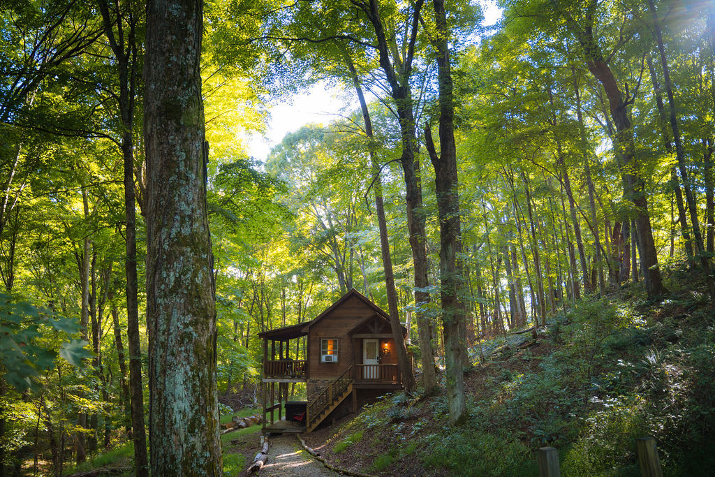 Hide A Way Tiny House | Photo 34