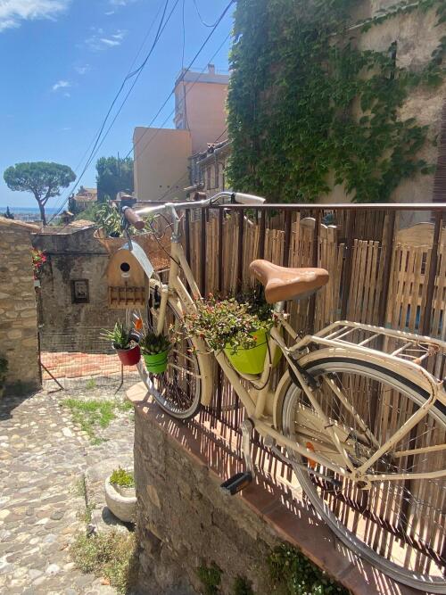 MONTEE DES SARRASSINS