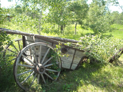 Historic wagon on the property