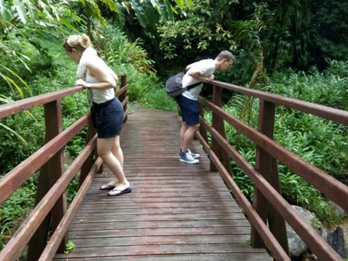 Excursions