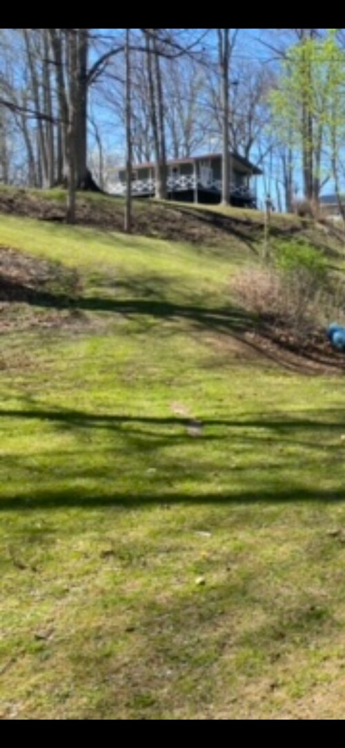 Picture is in front of the river looking up at the cabin. 