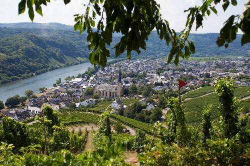 Blick auf Kröv