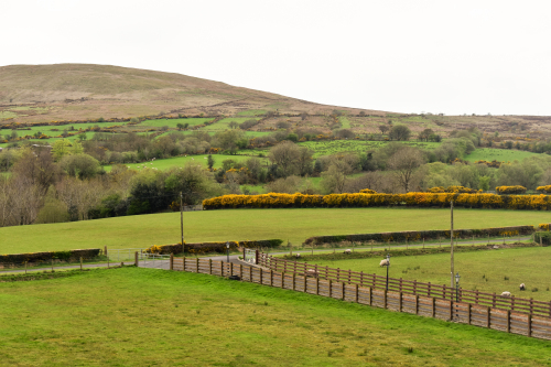 Sperrin mountains roll down to meet you at the entrance