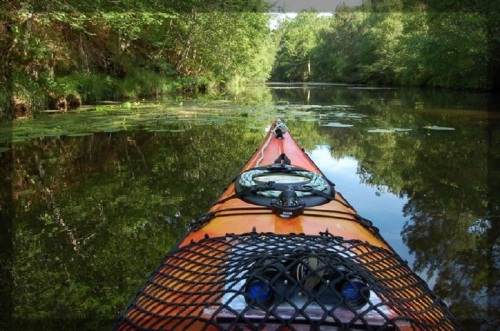 Promenade en Kayak sur les nombreux courants qui débouchent sur le bassin.