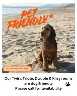 Dog friendly rooms