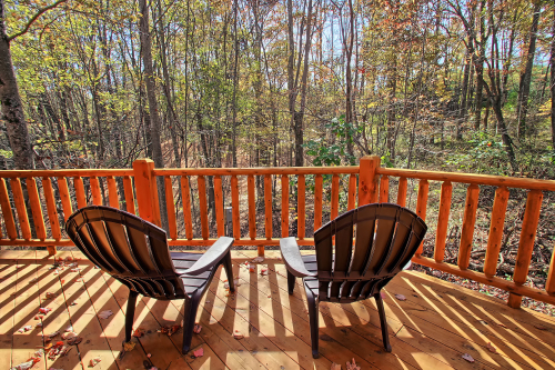 Deck Chairs and Wooded Property