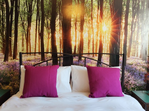 2 bedroom boutique art apartment