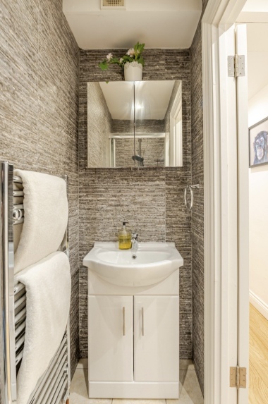 Shower room storage cabinet and sink