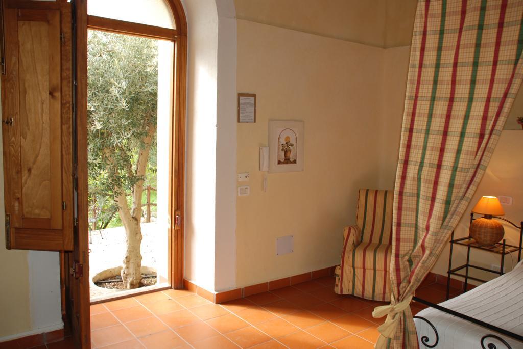Oliveto / Camera Standard dettaglio 2